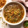 Soup-Veg Manchow Soup-The Mist Blew