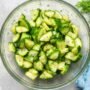 Salad-Cucumber Salad-Surushi