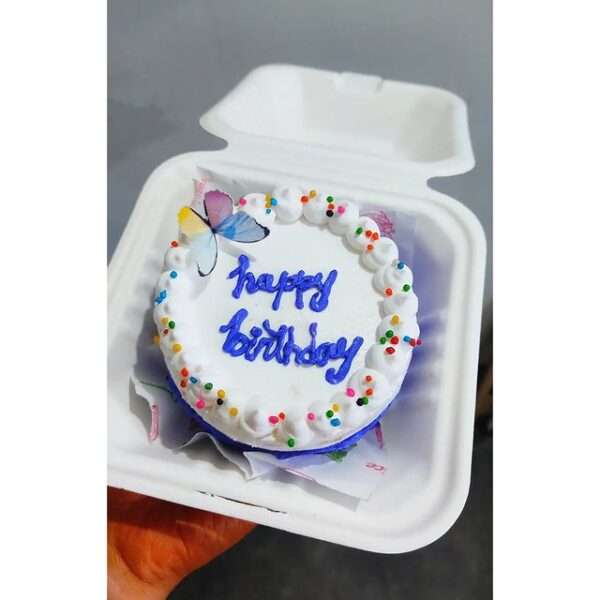 Bento Cake-Cake It Sonari