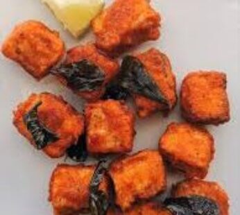 D2-Paneer 65-Ti-ফাই