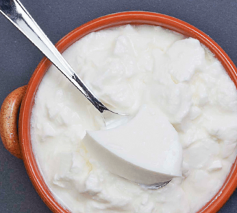 Curd 1kg-Dairy Corner