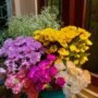 Special Bouquet(Mix Flower+Gypsy)