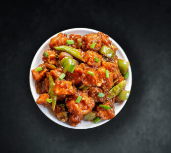 Chinese starter(veg)-Dragon paneer-Hotel Majestic